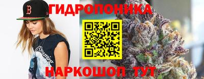 молекула духа Берёзовский