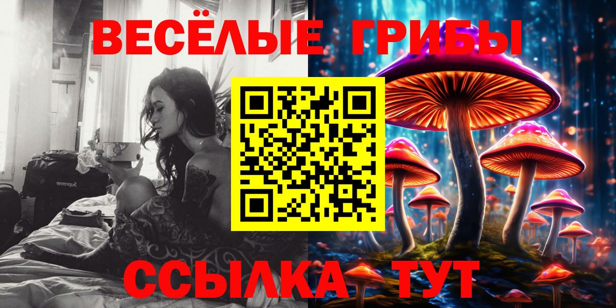 Вольск  Псилоцибиновые грибы Cubensis  Вход с VPN  Псилоцибиновые грибы ЛСД 